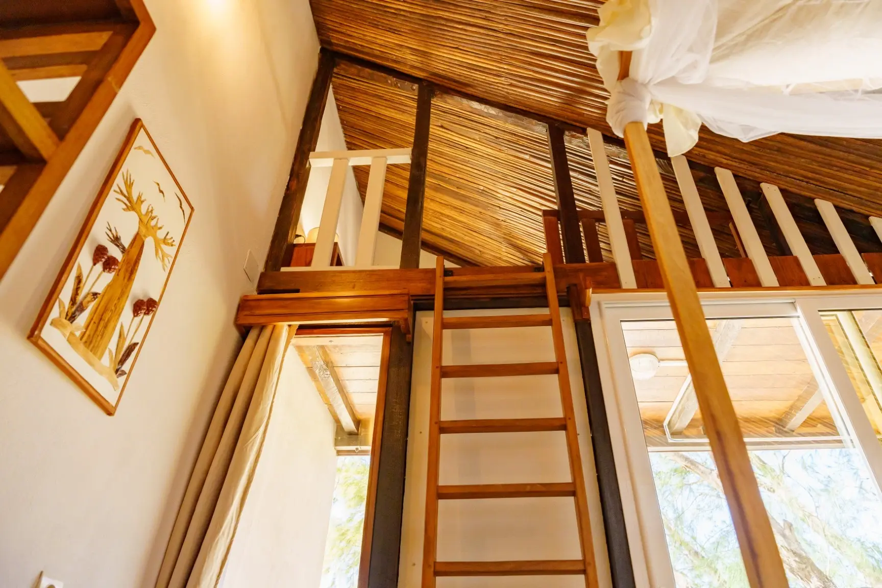 Image pour bungalows 9