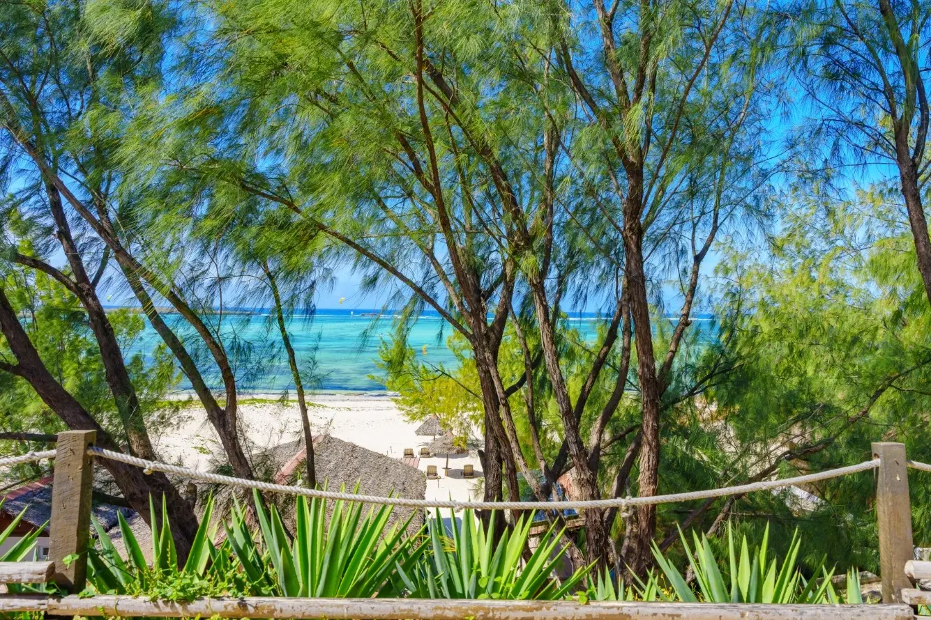 Image pour bungalows 17